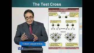Mendel's First Law of Segregation | Cell Biology | BIO5105_Topic198