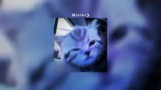 My teeth are yellow, hello world! &bull; alien blues (slowed + reverb)
