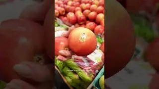 Decoding Labels
