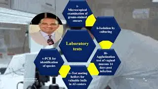 Campylobacteriosis - داء العطائف