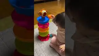 Monkey Roll Ball Tower Toy