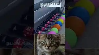When your Car is Super Small #FunnyCats #CatReactions #foodfail #minicar