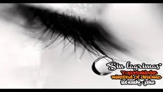 SIN LAGRIMAS - MINSTREL OF DREAMS FEAT NOREDHY & JOSHUA Album 7 OPORTUNIDADES