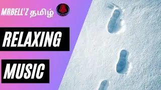 Relaxing Music | Beautiful Music | Beautiful Music | Sleep Music |Relief Music | MrBell'z தமிழ்