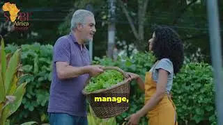 The Wisdom of Compound Farms