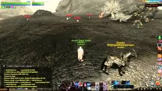 [Archeage] How to Level up Fast - Burning Labor, Over/Under-achieving and PVP