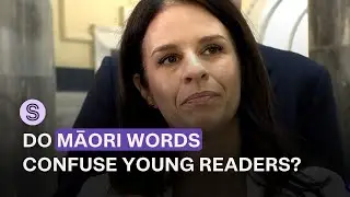 Education Minister cut Māori words from future books aimed at 5yos | Stuff.co.nz