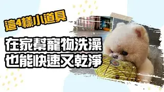 這四樣小工具，讓你在家幫寵物洗澡也能快速又乾淨！！｜寵物美容｜洗澡｜petsalon