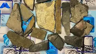  Black slate items cleaning wet 