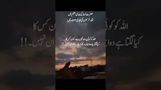 ✨ The Beauty of Islam | A Heart-Touching Islamic Message ✨