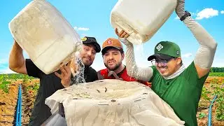 Instalando el SISTEMA DE RIEGO que esperábamos 💦 en el Bebedero