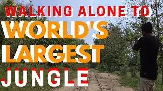 Traveling Changa Manga Jungle vlog 🤫😱2021| Changa Manga jungle tour| history of Changa Manga jungle