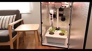 stealth grow box