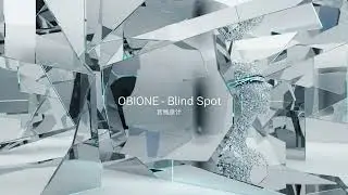 OBIONE -  Blind Spot