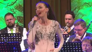 Champs Elysées - Dasha & Krnovský BigBand