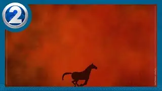 Feng Shui Master Michael Wu gives advice for the Year of the Fire Horse