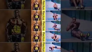 💪🔥5 Effective exercises for abs // Abs workout animation video 🔥💪 #fitness #gym #workout #shorts