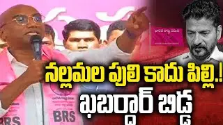 BRS RS Praveen Kumar : నల్లమల పులి కాదు పిల్లి ..! ఖబర్దార్ బిడ్డ || YRTV Telugu