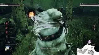 suffering with dbd (Part 2/3)