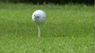 Golf-Club Schloss Elkofen e.V.