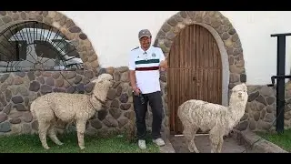 CONOCIENDO EL VALLE SAGRADO PE
