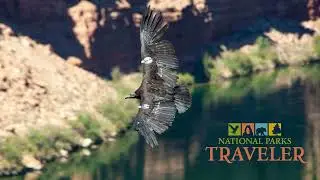 National Parks Traveler Podcast | National Park Science At Risk