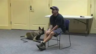 BNEWS Feature: Dog Training with Mike from K-9 East
