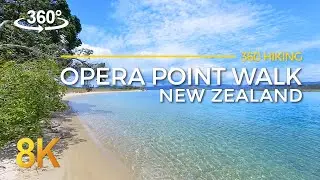 8K 360° VR - Stunning Opera Point Walk - New Zealand's Coastal Paradise