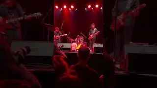 Sam Grisman Project - cover Grateful Dead Althea w/Jerry's Gator