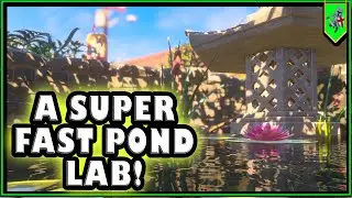 How I Destroy the Pond lab in Grounded