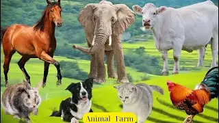 Cute Farm Animals: Lamb, Kitten, Puppy, Duckling, Pig, Cow, Horse, Chicken, Turtle | Explore Animals