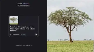 Gemini 2.5: Vibe coding nature to simulation