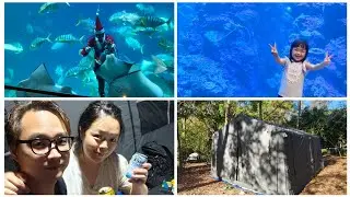 海生館有聖誕老公公來餵食/在台灣省住宿費的方法/一人$60的中正露營區