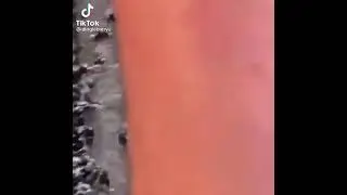 Frog gets Drafted