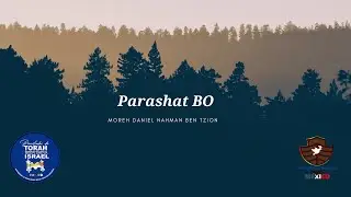 Parashat Bo│ Moreh Daniel Nahman Ben Tzion │ Comunidad Noajida Mexico