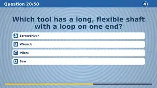 Brain Test: 50 Trivia Questions