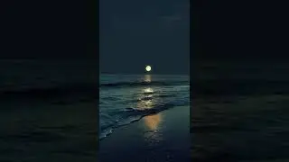 Goa Beach Night Life #amazingnature #shorts #love #goa #beach #nightlife