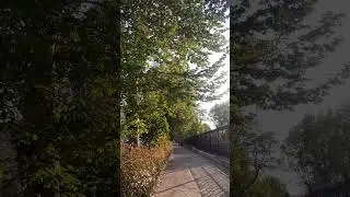Spring 2025 #shorts #spring #2025 #spring2025 #springvibes #vibes #nature #asmr #asmrsounds