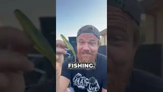 You'll NEVER Fish a Fluke the same After Seeing This #bassfishing
