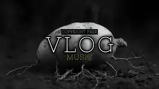 Food & Travel Vlog Background Music No Copyright