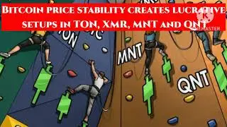 Bitcoin price holding $26,000, stability creates lucrative setups in TON, XMR, MNT and QNT
