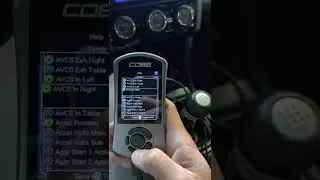 Setting up your Datalog List on a Cobb AP for E-Tuning by Drunkmann Tuning