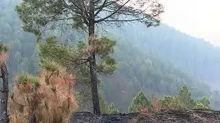 Village Dhura. Almora