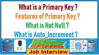 12. What is a Primary Key & Features of Primary Key With What is Not Null & Auto_Increment in DB?