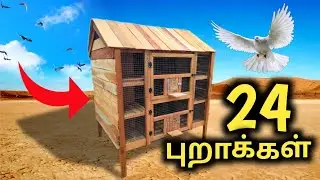 24 Removable Shelves Pigeon Cage in Tamil || Cage Making Tamil