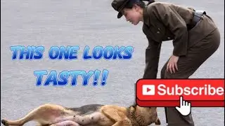Russian troops try North Korea canned dog meat!!