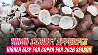 Union Cabinet approves higher MSP for copra for 2026 season