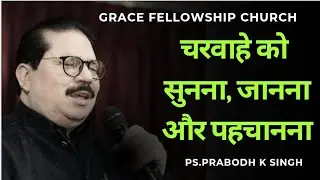 चरवाहे को सुनना,जानना, पहचानना।Ps.Prabodh K Singh।GFC। #jesus #bible #god #bibleverse 
