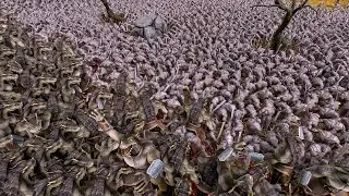 UEBS 2 - 23 000 Orcs VS 23 000 Dragon Mans - Ultimate Epic Battle Simulator 2 - UEBS 2