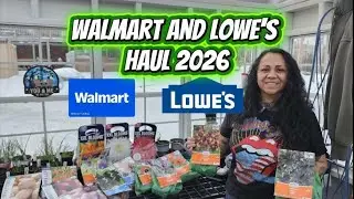 Саженцы с открытой корневой системой от Walmart и Lowe's, 2026 год.